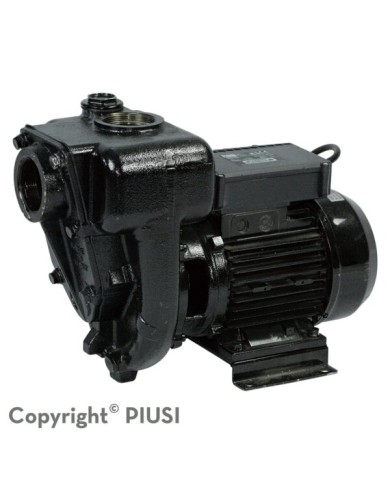 Bomba para combustible, diesel 220V, 132GPM 2HP 2"NPT E300