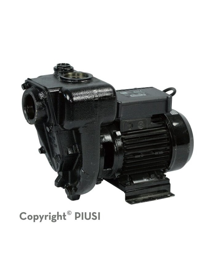 Bomba para combustible, diesel 220V, 132GPM 2HP 2"NPT E300