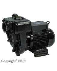 Bomba para combustible, diesel 220V, 132GPM 2HP 2"NPT E300