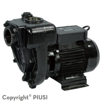 Bomba para combustible, diesel 220V, 132GPM 2HP 2"NPT E300