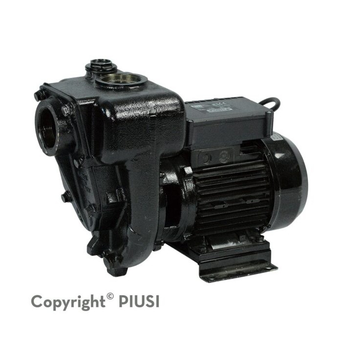 Bomba para combustible, diesel 220V, 132GPM 2HP 2"NPT E300