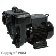 Bomba para combustible, diesel 220V, 132GPM 2HP 2"NPT E300