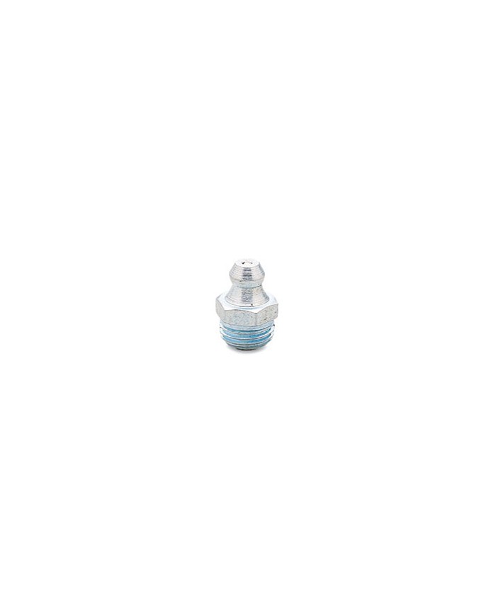 Grasero inoxidable 1/8 NPT recto Samoa