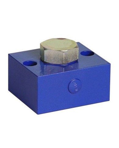 Filtro Block 270 micron F1/4BSPT