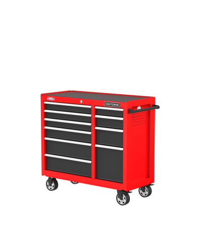 Caja con ruedas 10 cajones